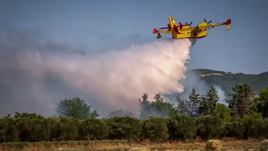 Φωτιά στη Θεσπρωτία στην περιοχή Πλαταριά - Επιχειρούν εναέρια μέσα