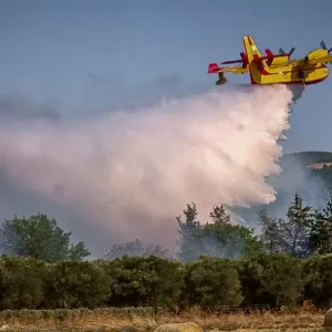 Φωτιά στη Θεσπρωτία στην περιοχή Πλαταριά - Επιχειρούν εναέρια μέσα
