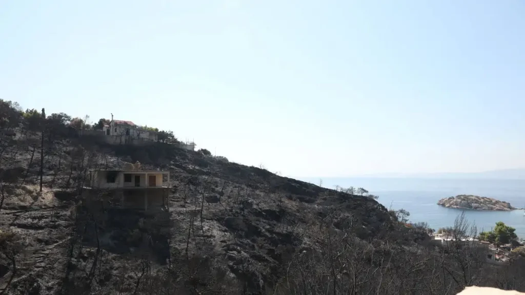 Σαλαμίνα: Από αμέλεια ηλικιωμένης η φωτιά στα Περιστέρια, μαρτυρία για εμπρησμό για την πυρκαγιά στα Σελίνια
