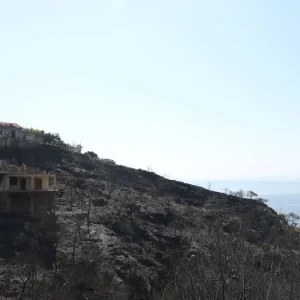 Σαλαμίνα: Από αμέλεια ηλικιωμένης η φωτιά στα Περιστέρια, μαρτυρία για εμπρησμό για την πυρκαγιά στα Σελίνια