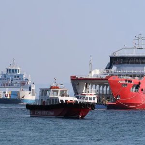 Πυρκαγιά στη Σαλαμίνα: Επιχείριση απεγκλωβισμού δια θαλάσσης για περισσότερα από 500 άτομα - Δείτε εικόνες