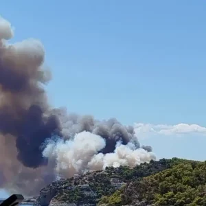 Ελληνική Αριστερή Συμπαράταξη: Προέχει η προστασία της ανθρώπινης ζωής στη Σαλαμίνα – Πλήρης διερεύνηση μετά την πυρκαγιά