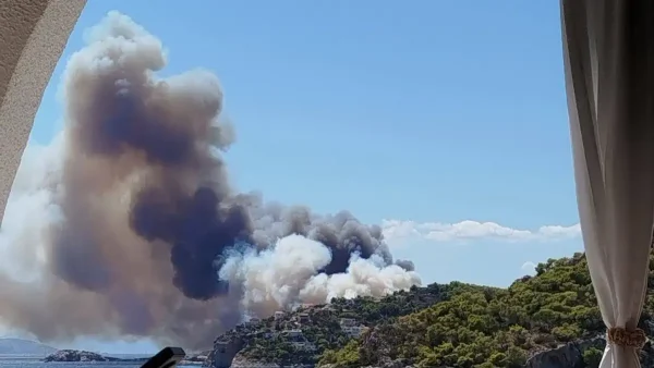 Ελληνική Αριστερή Συμπαράταξη: Προέχει η προστασία της ανθρώπινης ζωής στη Σαλαμίνα – Πλήρης διερεύνηση μετά την πυρκαγιά