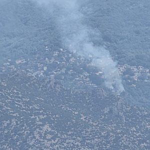 Οριοθετήθηκε η φωτιά στη Μαγνησία: «Όλο το χωριό κατέβηκε με λάστιχα»