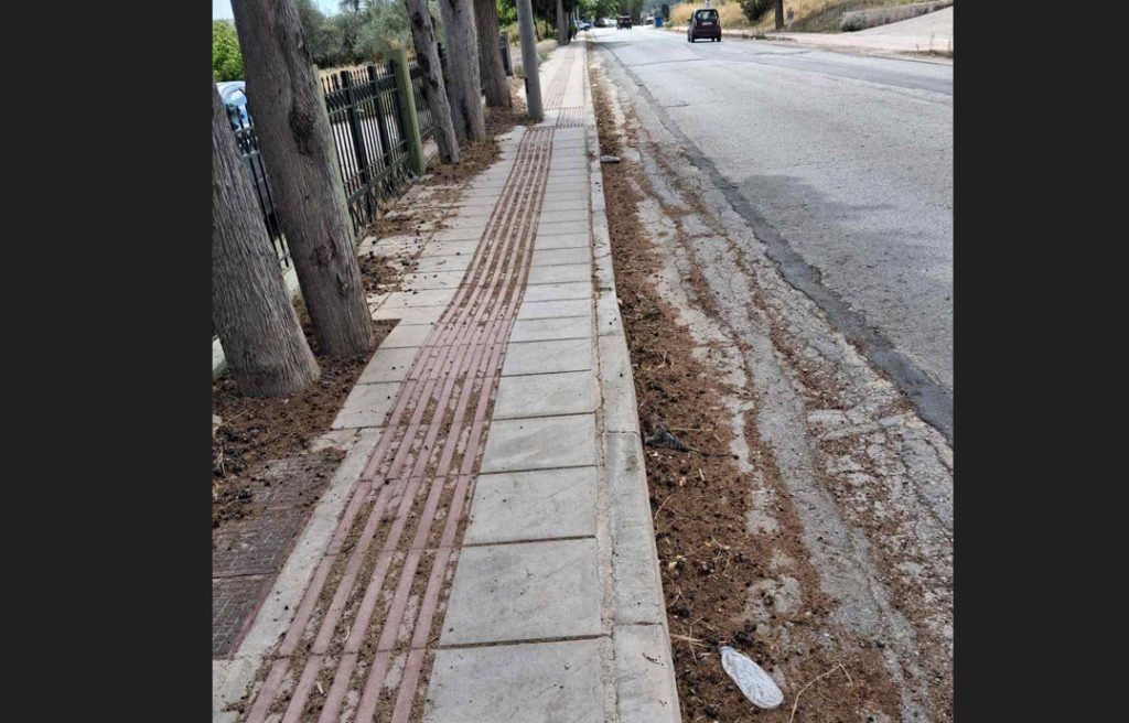 Καθαριότητα και κάδοι στο επίκεντρο καταγγελίας κατοίκου στην βόρεια πλευρά της Λαμίας