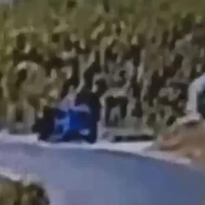 Θεσσαλονίκη: Βίντεο «ντοκουμέντο» με τον 59χρονο να βάζει φωτιά στη Σίνδο – Κατηγορείται για έξι εστίες, πήρε προθεσμία να απολογηθεί την Παρασκευή