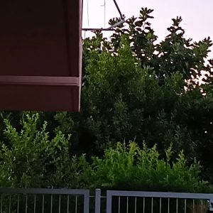 Λαμία: Καταγγελία - Διαμαρτυρία για εργασίες εγκατάστασης οπτικών ινών από την COSMOTE χωρίς ενημέρωση των συνιδιοκτητών
