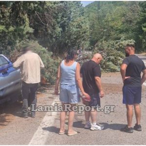 Τροχαίο στο δρόμο προς Μπράλο - Αγροτικό «έφυγε» έξω και κατέβασε δύο δέντρα - Δείτε εικόνες