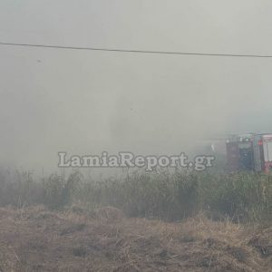 Λαμία: Συναγερμός για πυρκαγιά στο δρόμο προς Κόμμα - Δείτε εικόνες