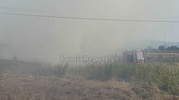 Λαμία: Συναγερμός για πυρκαγιά στο δρόμο προς Κόμμα - Δείτε εικόνες