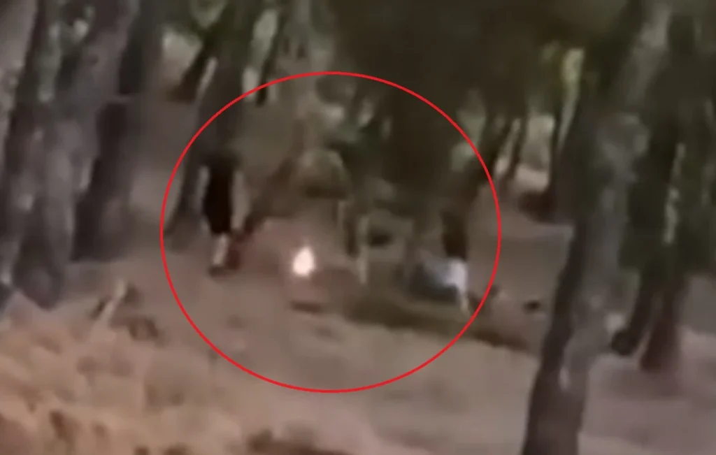Ταυτοποιήθηκαν τρεις 13χρονοι που έβαζαν φωτιές σε δάσος στα Βριλήσσια κάνοντας «challenge»