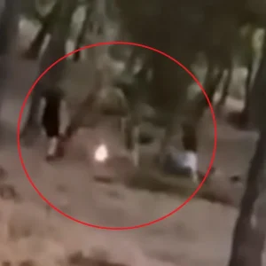 Ταυτοποιήθηκαν τρεις 13χρονοι που έβαζαν φωτιές σε δάσος στα Βριλήσσια κάνοντας «challenge»