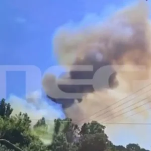 Χαλκιδική: Βίντεο ντοκουμέντο δείχνει τα πρώτα λεπτά της φωτιάς στη Σίβηρη