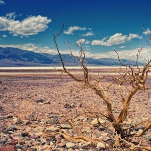 Σε «φούρνο» ο πλανήτης το 2027 – Τι μας επιφυλάσσει το «σούπερ Ελ Νίνιο»