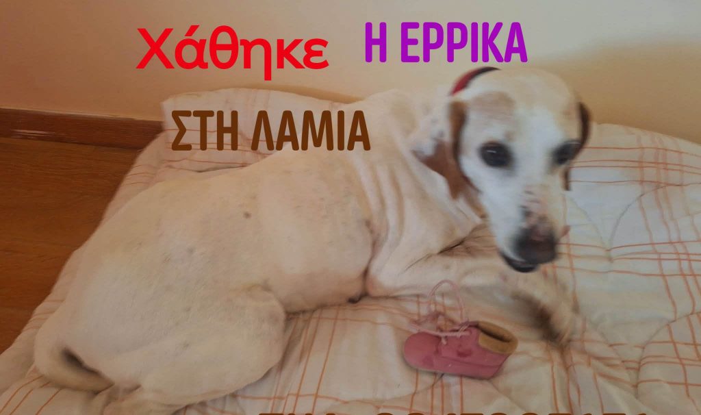 Χάθηκε η Έρρικα-Θα βοηθήσετε να τη βρούμε;