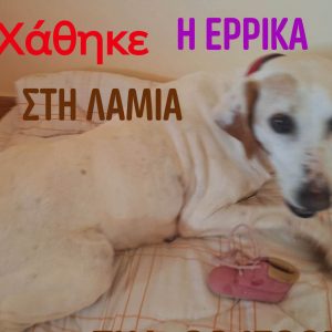 Χάθηκε η Έρρικα-Θα βοηθήσετε να τη βρούμε;
