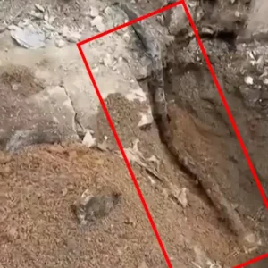 Πλάκα: Αποκαλυπτικές εικόνες από τον αγωγό φυσικού αερίου στο κτίριο της φονικής έκρηξης – Κατασκευάστηκε τη δεκαετία του ’90