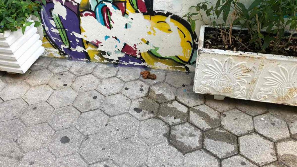 Λαμία: Ακαθαρσίες και σκουπίδια όπου βρουν από τη γνωστή κοινωνική ομάδα