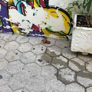 Ακαθαρσίες και σκουπίδια όπου βρουν από τη γνωστή κοινωνική ομάδα