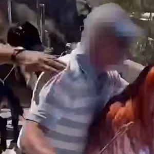 Σαντορίνη: Αγωγιάτες επιτέθηκαν σε ακτιβίστριες που διαμαρτύρονταν για τη χρήση γαϊδουριών και μουλαριών στη μεταφορά τουριστών
