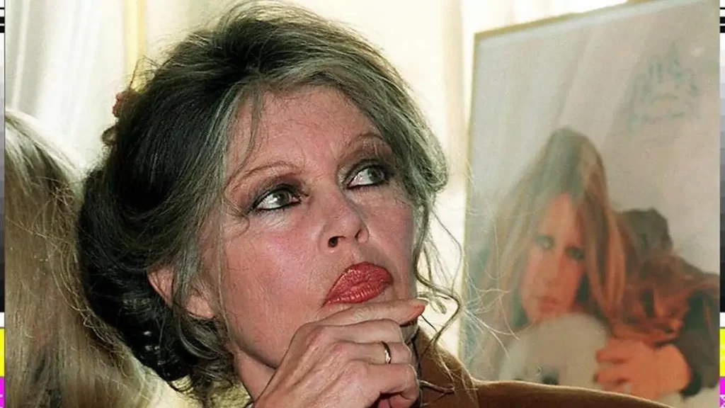 «Χρυσάφι» η δημοπρασία της Μπριζίτ Μπαρντό - Σχεδόν 1 εκατ. ευρώ τα προσωπικά αντικείμενα, ενώ ο σύζυγος ζει σε δημοτικό διαμέρισμα