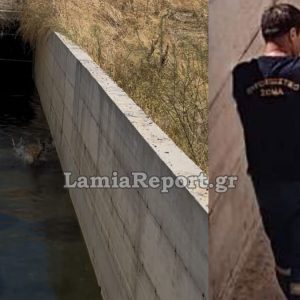 Λαμία: Πυροσβέστες έσωσαν ζαρκάδι και σκαντζόχοιρο από αρδευτικό κανάλι (ΦΩΤΟ)
