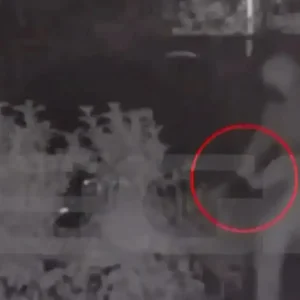 Απόπειρα δολοφονίας στη Δροσιά: «Η 27χρονη χειραγωγούσε τον 29χρονο και έγινε ό,τι έγινε» λέει φίλη του δράστη