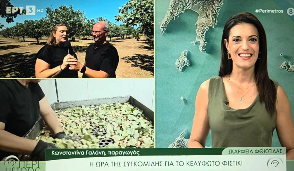 Σκάρφεια Φθιώτιδας: Από το δέντρο στο ράφι – Στην ΕΡΤ3 και την Εκπομπή "Περίμετρος" παρουσιάστηκε το κελυφωτό φιστίκι και τα μυστικά της παραγωγής του