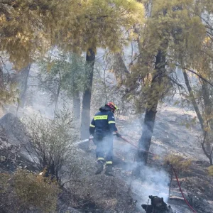 Φωτιά στο Άλσος Γαλατσίου: Μεγάλη κινητοποίηση της πυροσβεστικής