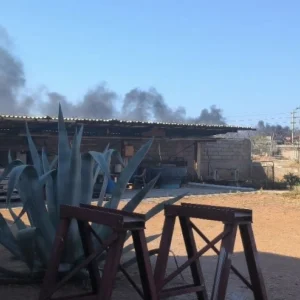 Φωτιά στην περιοχή Ξηροπήγαδο στη Μάνδρα: Εστάλη μήνυμα από το 112 για τους πυκνούς καπνούς