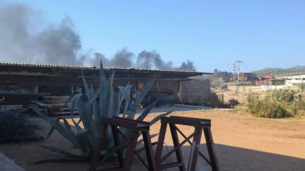 Φωτιά στην περιοχή Ξηροπήγαδο στη Μάνδρα: Εστάλη μήνυμα από το 112 για τους πυκνούς καπνούς