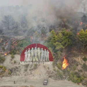 Πυρκαγιά στο πεδίο βολής στο Μεσολόγγι: Σηκώθηκαν 5 αεροσκάφη, δείτε βίντεο