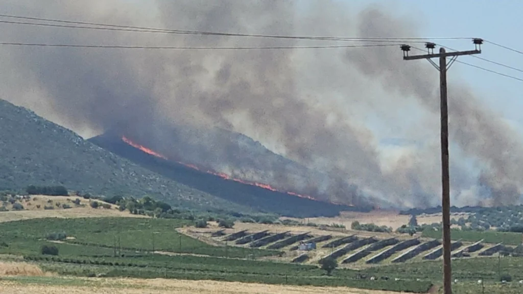 Πυρκαγιά στον Μύτικα Θήβας, καίει κοντά σε φωτοβολταϊκό πάρκο, 14 εναέρια στη μάχη