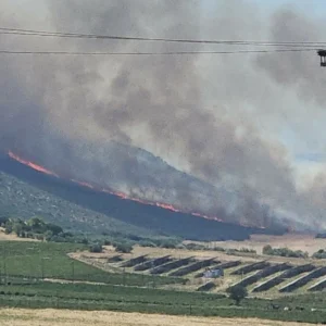 Πυρκαγιά στον Μύτικα Θήβας, καίει κοντά σε φωτοβολταϊκό πάρκο, 14 εναέρια στη μάχη