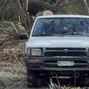 Λαμία: Έκλεψαν αγροτικό τα ξημερώματα από τα Καλύβια - Έκκληση για τον εντοπισμό του (ΦΩΤΟ)