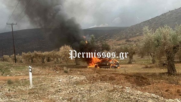 Αυτοκίνητο έπεσε σε ελιά και τυλίχτηκε στις φλόγες - Τραυματίας ο οδηγός (ΒΙΝΤΕΟ-ΦΩΤΟ)