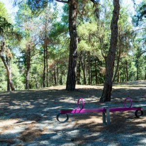 Δράση καθαρισμού στο Ισαδάκι από το Δημοτικό Συμβούλιο Νέων Λαμίας
