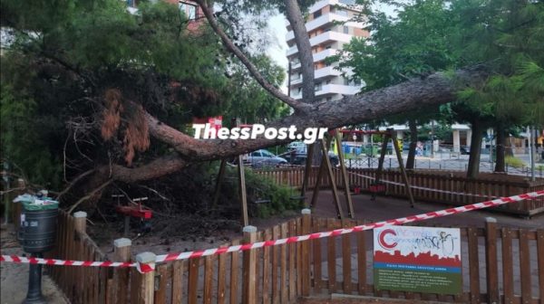 Καλαμαριά: Έπεσε δέντρο σε παιδική χαρά - Τραυματίστηκαν μητέρα και παιδί