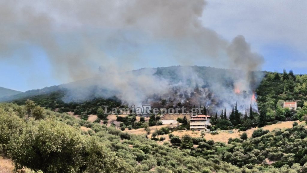Υπό έλεγχο η πυρκαγιά που ξεκίνησε δίπλα στα σπίτια της Πελασγίας (ΒΙΝΤΕΟ-ΦΩΤΟ)