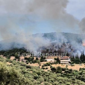 Υπό έλεγχο η πυρκαγιά που ξεκίνησε δίπλα στα σπίτια της Πελασγίας (ΒΙΝΤΕΟ-ΦΩΤΟ)