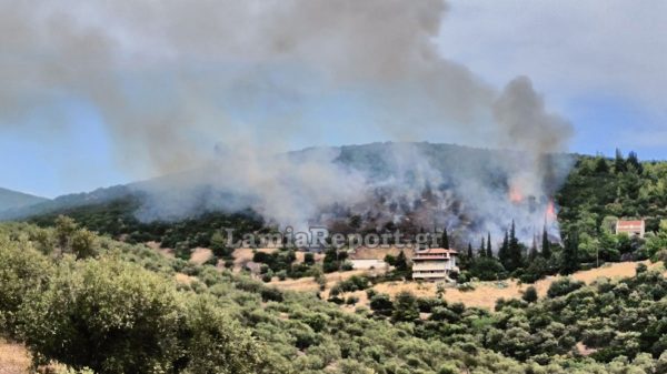Υπό έλεγχο η πυρκαγιά που ξεκίνησε δίπλα στα σπίτια της Πελασγίας (ΒΙΝΤΕΟ-ΦΩΤΟ)