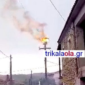 Κεραυνός έπεσε πάνω σε στύλο της ΔΕΗ με φωλιά πελαργών - ΒΙΝΤΕΟ
