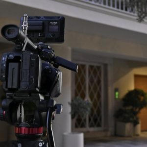 Γιώργος Μαζωνάκης – Ένωση Ελλήνων Φυσικών: «Ανυπόστατοι όροι η κβαντική ιατρική και η κβαντική θεραπεία»