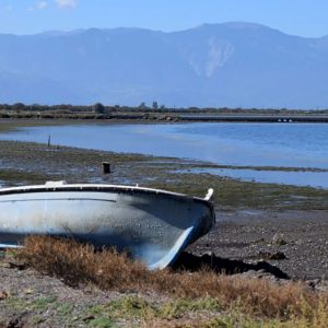 Πρόστιμο και κατάσχεση αλιευτικών εργαλείων στο Μαλιακό κόλπο