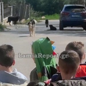 Λαμία: «Ακόμα και σήμερα πετάγομαι στον ύπνο μου» - Κατέθεσε μήνυση η μητέρα που έπεσε θύμα αγέλης σκυλιών έξω από νηπιαγωγείο