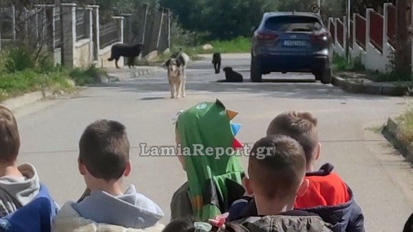 Λαμία: «Ακόμα και σήμερα πετάγομαι στον ύπνο μου» - Κατέθεσε μήνυση η μητέρα που δέχθηκε επίθεση από σκυλιά έξω από νηπιαγωγείο