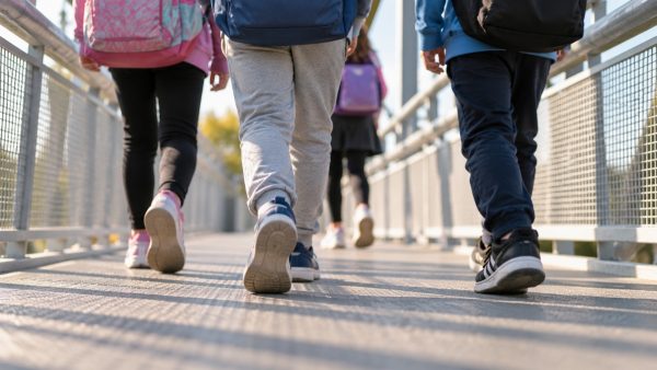 Υπεγράφη η σύμβαση για την κατασκευή πεζογέφυρας στο 2ο Δημοτικό Σχολείο Θήβας