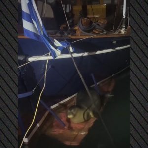 Μια ξεχωριστή επισκέπτρια στη Μαρίνα Καμένων Βούρλων
