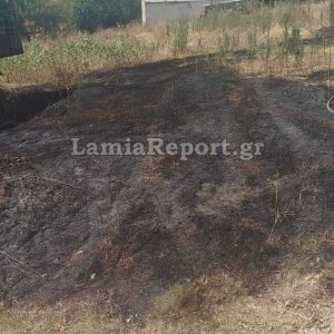 Φθιώτιδα: Πυρκαγιά δίπλα στα σπίτια στο χωριό Μαντασιά