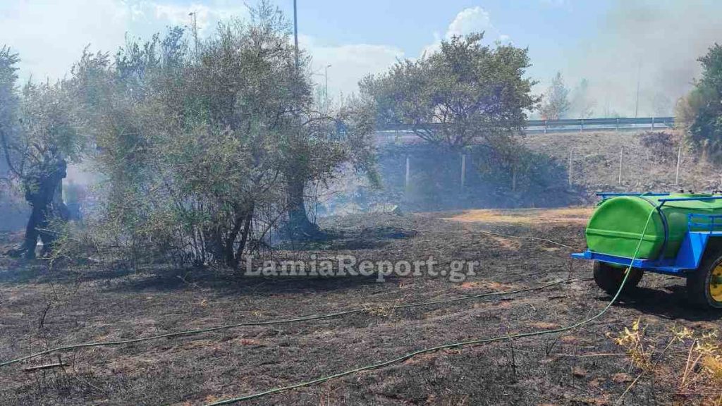 Πυρκαγιά σε ελιές και ξερά χόρτα στις Ράχες - Χτύπησαν οι καμπάνες του χωριού (BINTEO-ΦΩΤΟ)